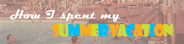 banner for how I spent my summer vaction